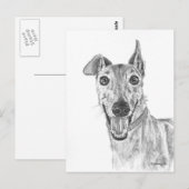 Greyhound Closeup Drawing Briefkaart (Voorkant / Achterkant)