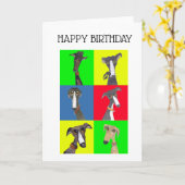 GREYHOUND COLLAGE KAART (Gele Bloem)