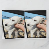 Greyhound Dimensions Big Wenskaart Kaart (Binnen)
