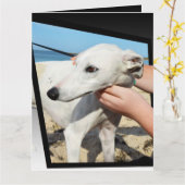 Greyhound Dimensions Big Wenskaart Kaart (Gele Bloem)