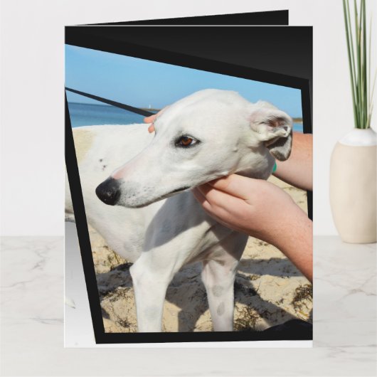 Greyhound Dimensions Big Wenskaart Kaart (Voorkant)
