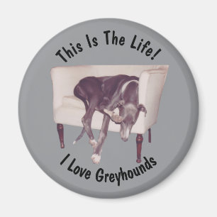 Greyhound Dit Is Het Leven Magneet