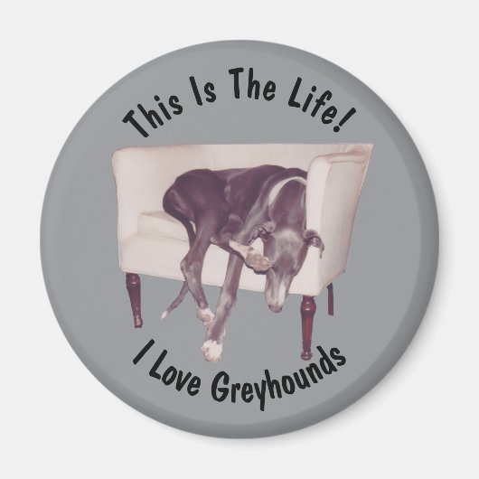 Greyhound Dit Is Het Leven Magneet (Voorkant)
