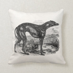 Greyhound Dog 1800 - Greyhounds Dogs Kussen