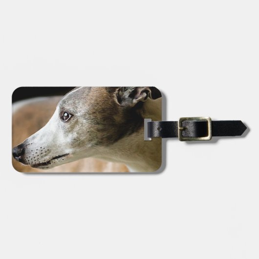 Greyhound Dog Bagagelabel (Voorkant horizontaal)