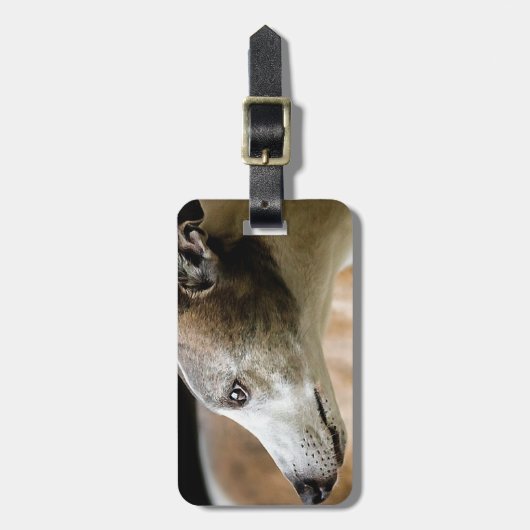Greyhound Dog Bagagelabel (Voorkant verticaal)