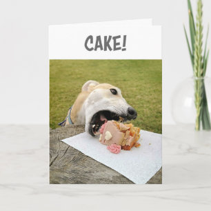 Greyhound Dog Birthday Cake Card Feestdagen Kaart