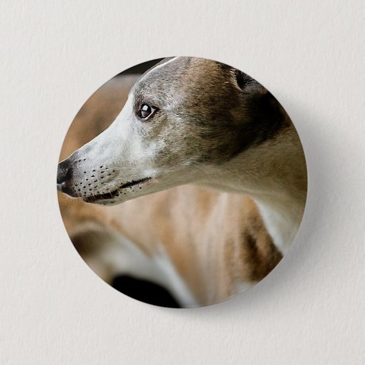 Greyhound Dog Button (Voorkant)