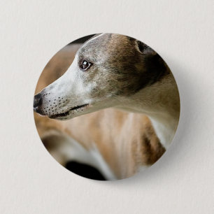 Greyhound Dog Button