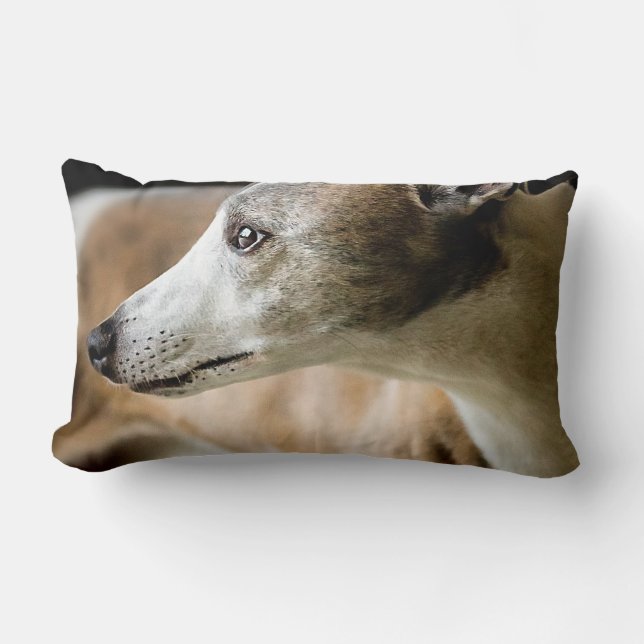 Greyhound Dog Pillow Kussen (Voorkant)