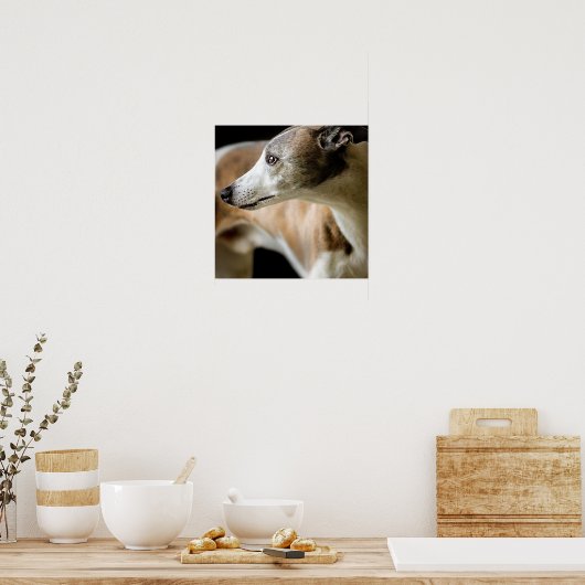 Greyhound Dog Poster (Keuken)