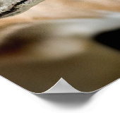 Greyhound Dog Poster (Hoek)