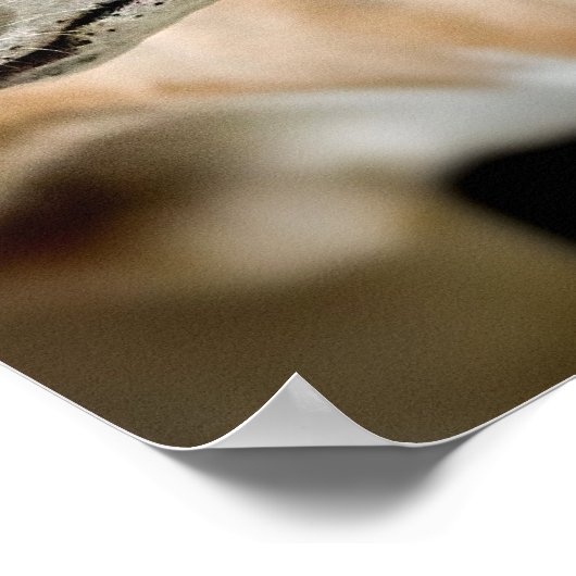 Greyhound Dog Poster (Hoek)