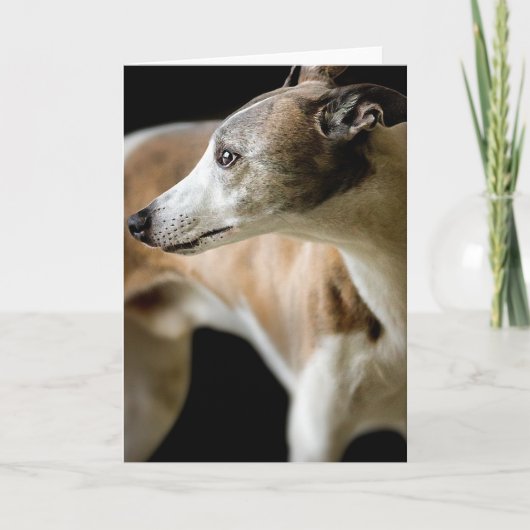 Greyhound Dog Wenskaart Kaart (Voorkant)