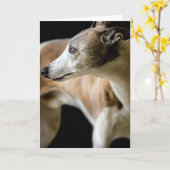 Greyhound Dog Wenskaart Kaart (Gele Bloem)