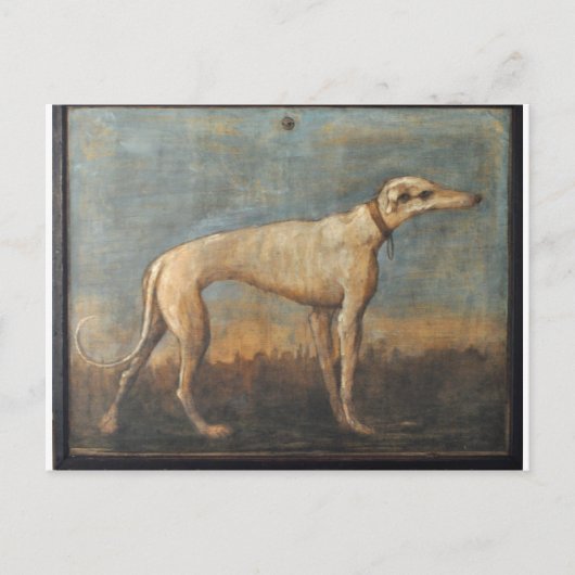 Greyhound door Giovanni Domenico Tiepolo Briefkaart (Voorkant)