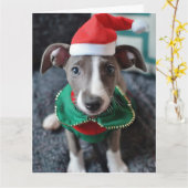 Greyhound Elf Puppy Christmas Kaart (Gele Bloem)