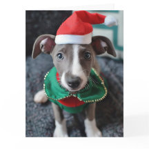 Greyhound Elf Puppy Christmas Kaart