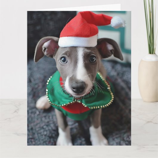Greyhound Elf Puppy Christmas Kaart (Voorkant)