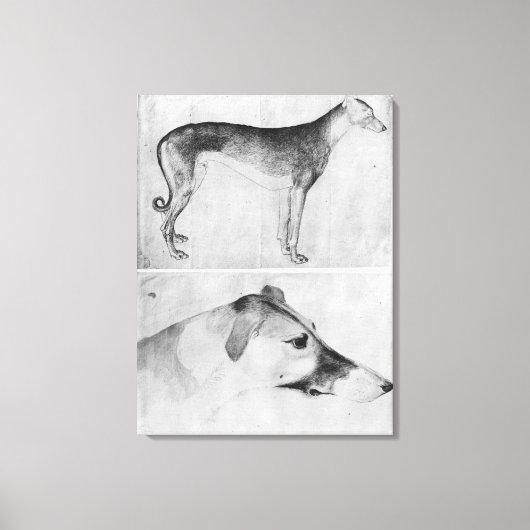 Greyhound en hoofd van een windhond canvas afdruk (Voorkant)