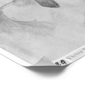 Greyhound en hoofd van een windhond poster (Hoek)