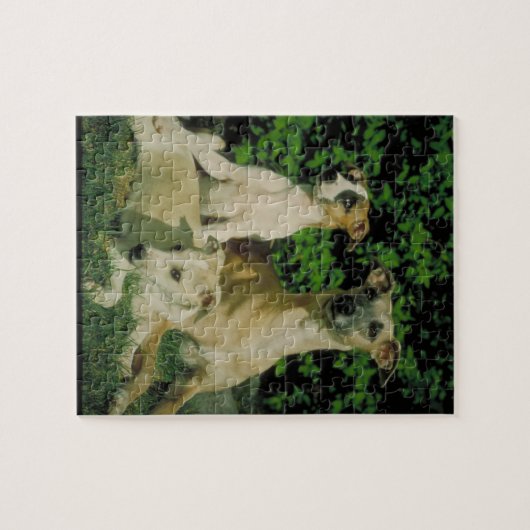 Greyhound en Puppies Dog Puzzle Legpuzzel (Horizontaal)