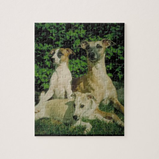 Greyhound en Puppies Dog Puzzle Legpuzzel (Verticaal)