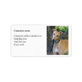 Greyhound etiketten (p85) (Voorkant)