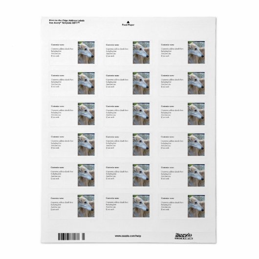 Greyhound etiketten (p86) (Full Sheet)