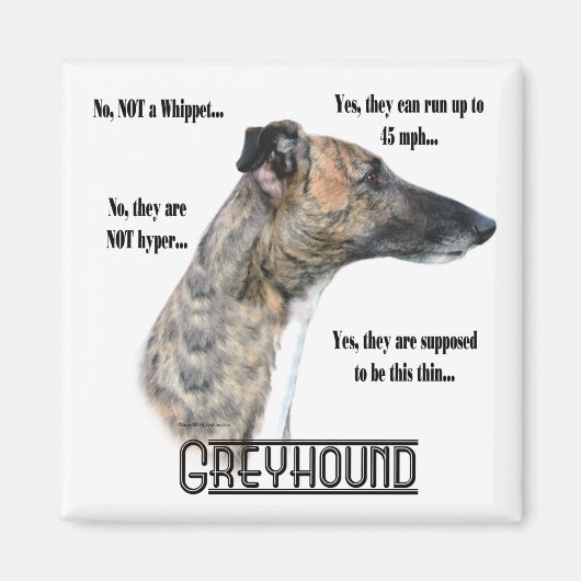 Greyhound FAQ Magnet (Voorkant)