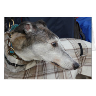 Greyhound-fotokaart