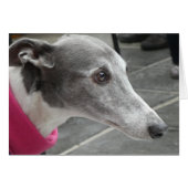 Greyhound-fotokaart (Voorkant Horizontaal)