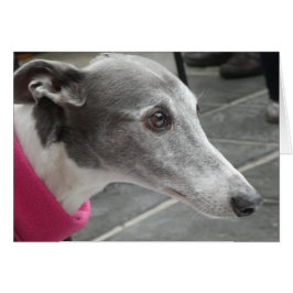 Greyhound-fotokaart
