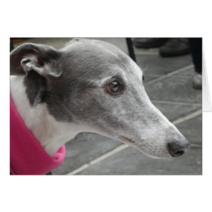 Greyhound-fotokaart