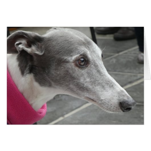Greyhound-fotokaart (Voorkant Horizontaal)