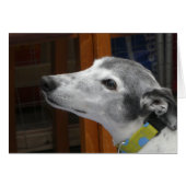 Greyhound-fotokaart (Voorkant Horizontaal)