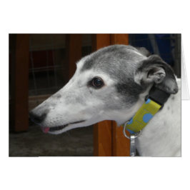 Greyhound-fotokaart