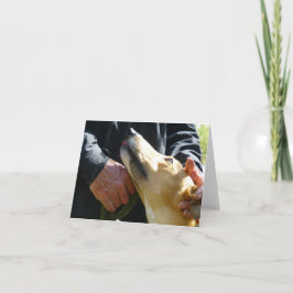 Greyhound-fotokaart (p284) kaart