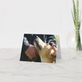 Greyhound-fotokaart (p284) kaart (Voorkant)