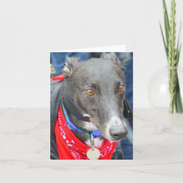 Greyhound-fotokaart (p290) kaart