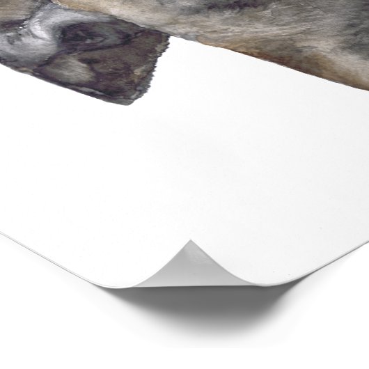 GREYHOUND g918 Poster (Hoek)