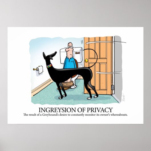 Greyhound Glossary Ingreysion of Privacy Poster (Voorkant)