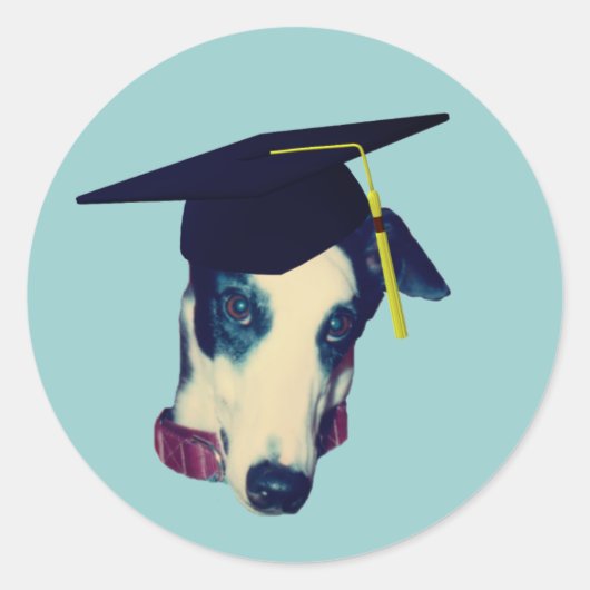 Greyhound Graduation Cap Funny Ronde Sticker (Voorkant)