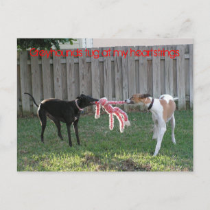 Greyhound heartstrings briefkaart