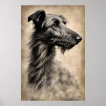 Greyhound hond schets
