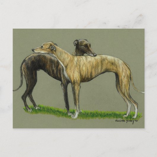 "Greyhound Hug" Dog Art Briefkaart (Voorkant)
