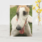 Greyhound Kaart (Gele Bloem)