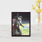Greyhound-kaart Kaart (Gele Bloem)