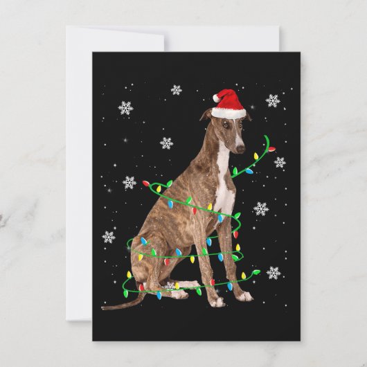 greyhound kerst licht schattige kerstman greyhound kaart (Voorkant)