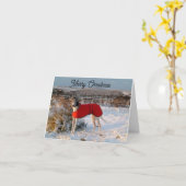 Greyhound kerstkaart - Blauw met rood jasje Kaart (Gele Bloem)